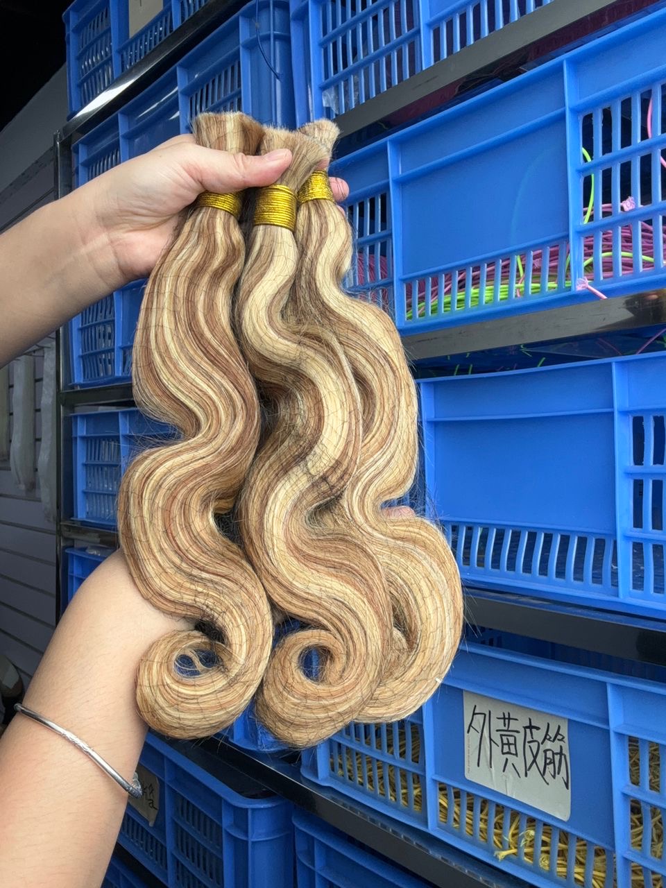 Bulkhair humain